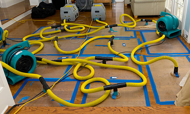 Professional Storm Water Damage Restoration technician working in Roosevelt, NJ