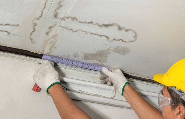 Affordable Water Damage Repair solutions in Roosevelt, NJ
